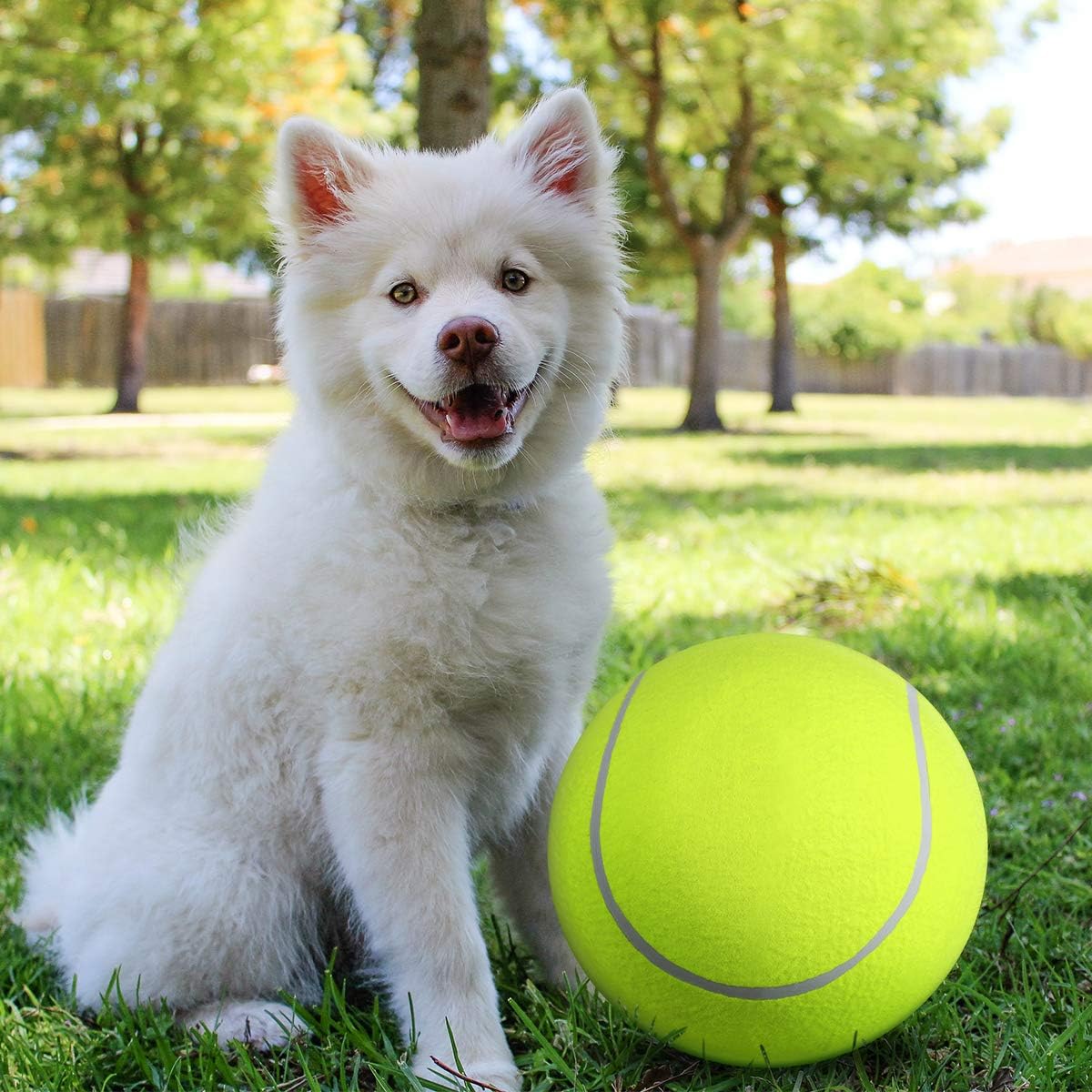 BarkBounce™ | Adventurous Play Fun