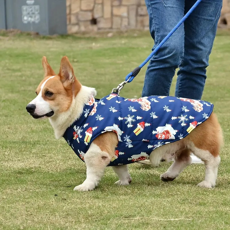 Flocke™ | Dog Coat for Rain and Unpleasant Odours