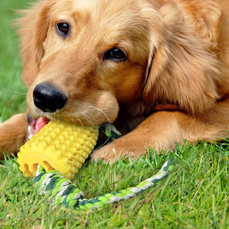 CornCraze™ | Corn-shaped Chew Toy for Dogs