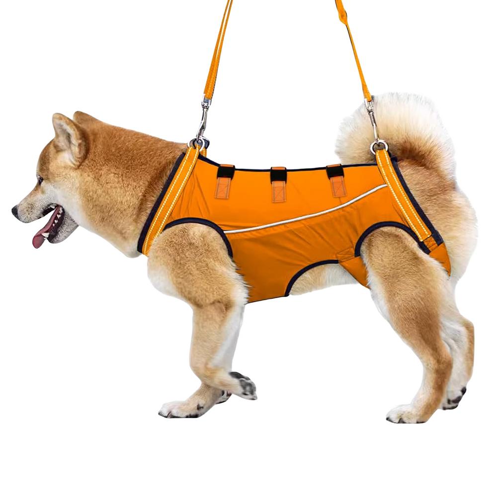 LiftHound™ | Rehabilitation and Recovery Support Harness