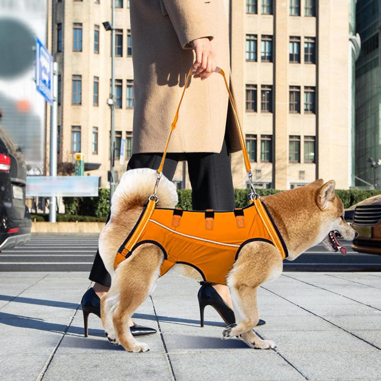 LiftHound™ | Rehabilitation and Recovery Support Harness
