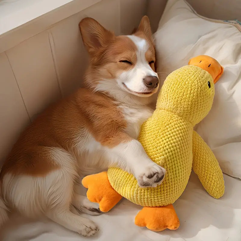DuckyDazzle™ | Prevent Boredom and Anxiety When Home Alone