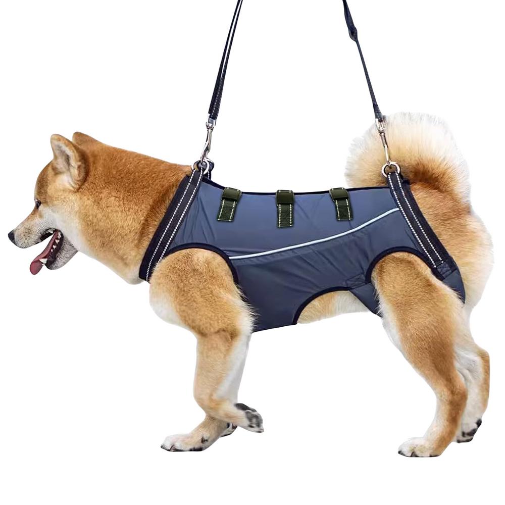 LiftHound™ | Rehabilitation and Recovery Support Harness