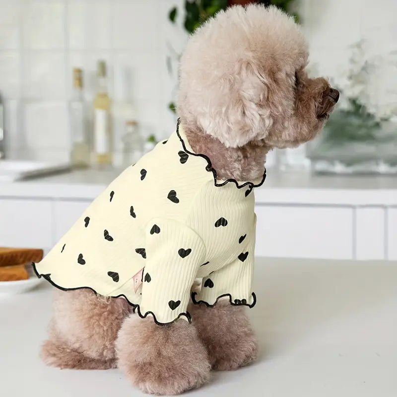 PawPoo™ | A gesture of love for your dog