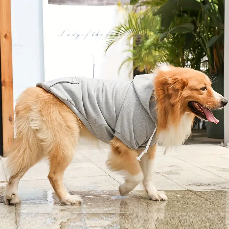 ChillWoof™ | Say goodbye to shivers with this warm hoodie
