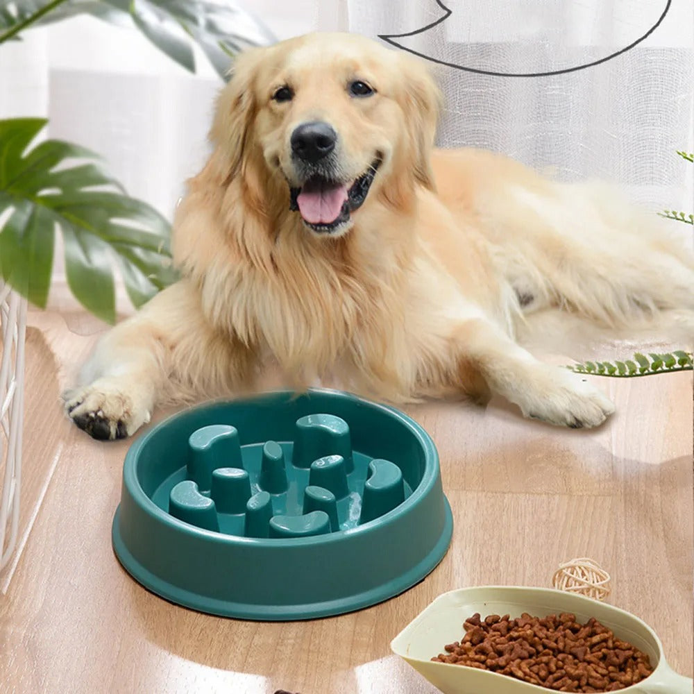 Foodie™ | Relaxed Eating Slow Feeder Dog Bowl