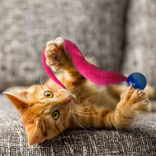 Wobble Ball voor Katten
