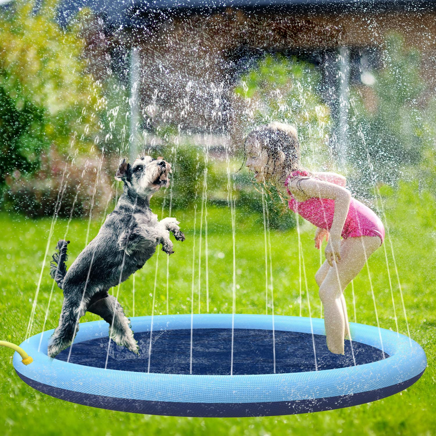 AquaBuddy™ | Your backyard water paradise!