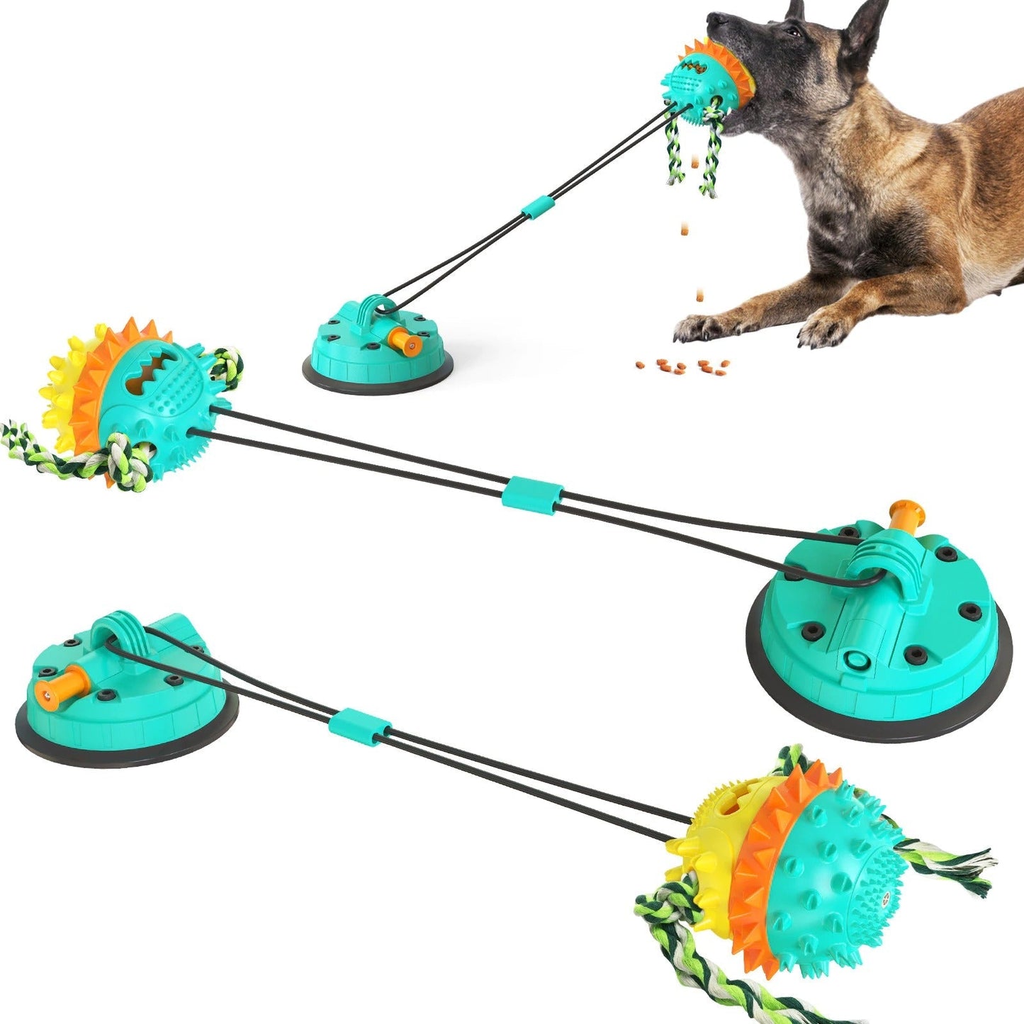 Clawzy™ | For Active Pets