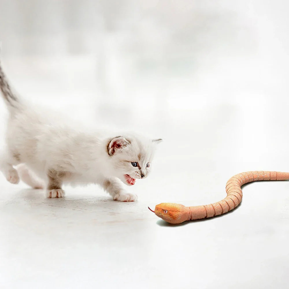 SnakePlay™ | Remote Control Toy