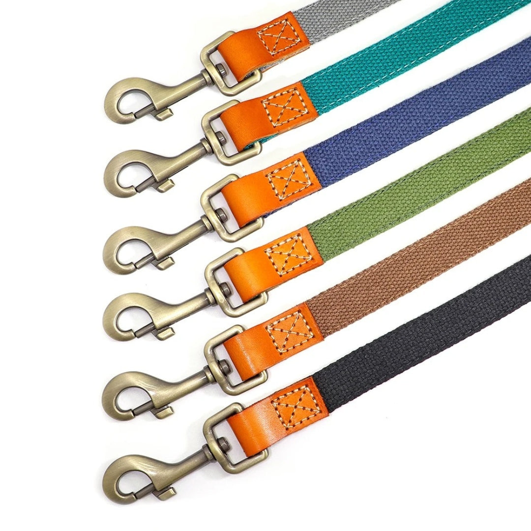 WalkPro™ | Perfect Control and Comfort