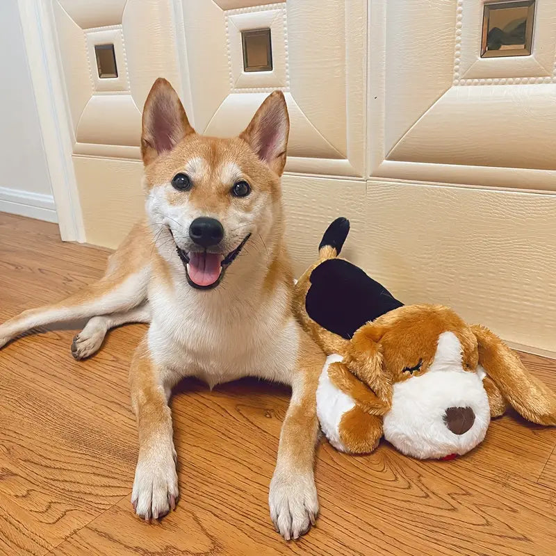 CuddleBuddy™ | For Anxiety, Barking, and Loneliness