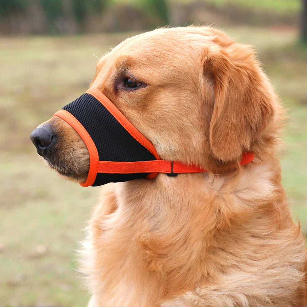 SoftSnout™ | Prevent Barking and Biting