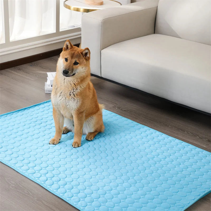 IcyWoof™ | The Best Summer Solution