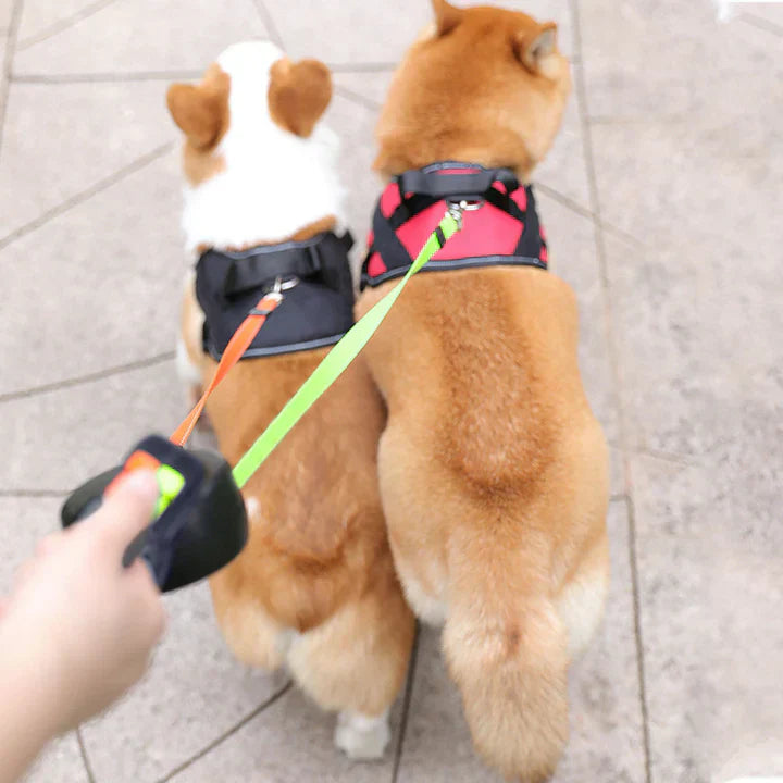 DogDuo™ | Lead with Anti-Tangle Technology