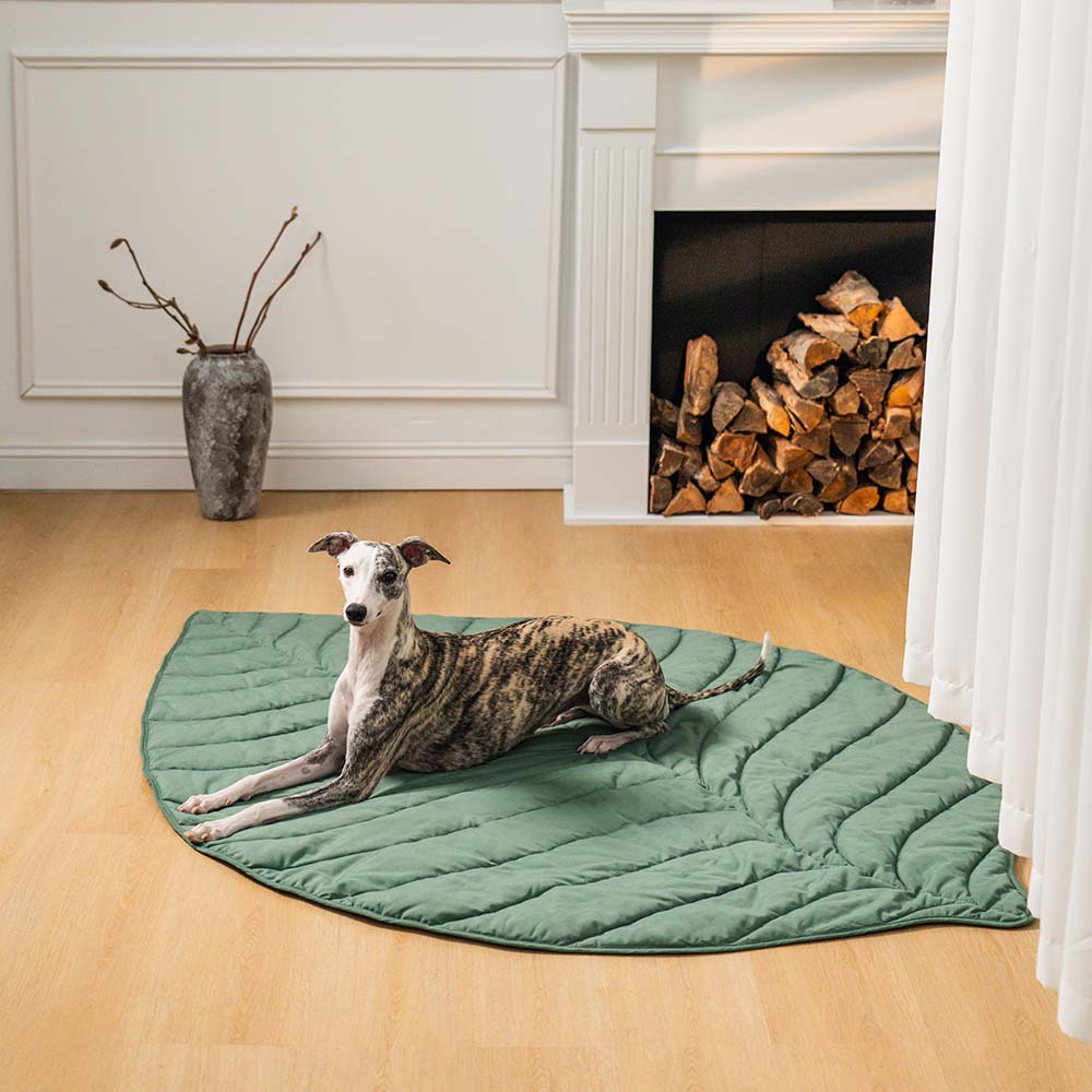 PetLeaf™ | Calming Orthopaedic Blanket