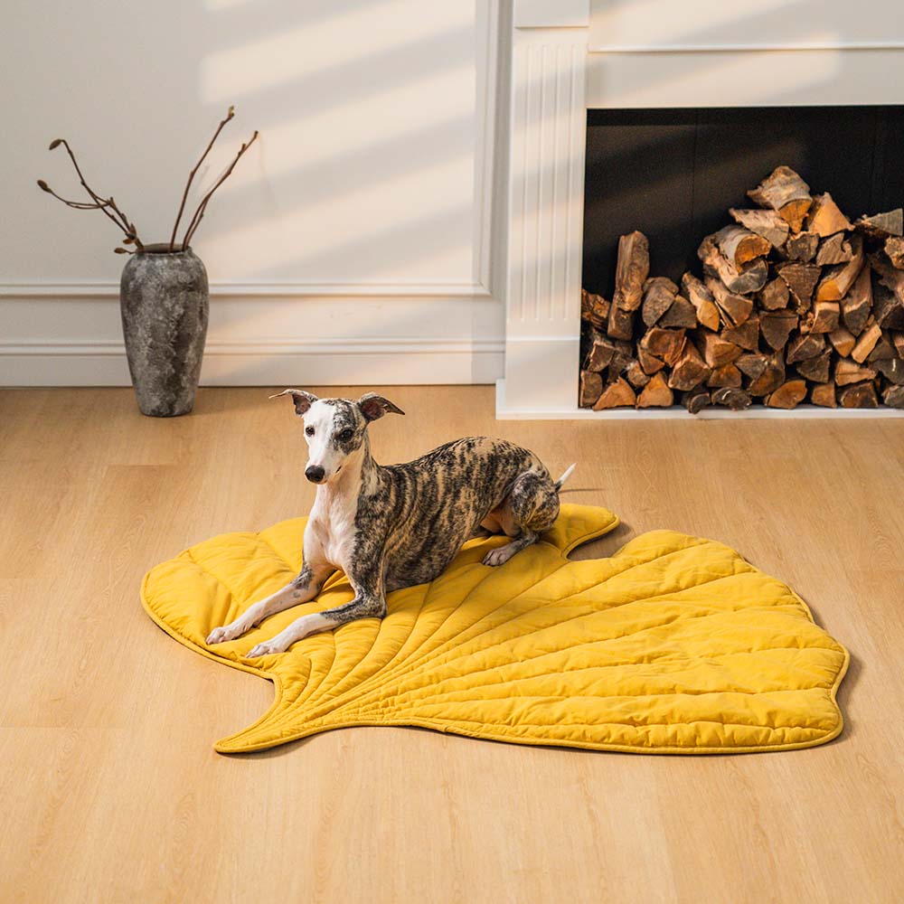 PetLeaf™ | Calming Orthopaedic Blanket