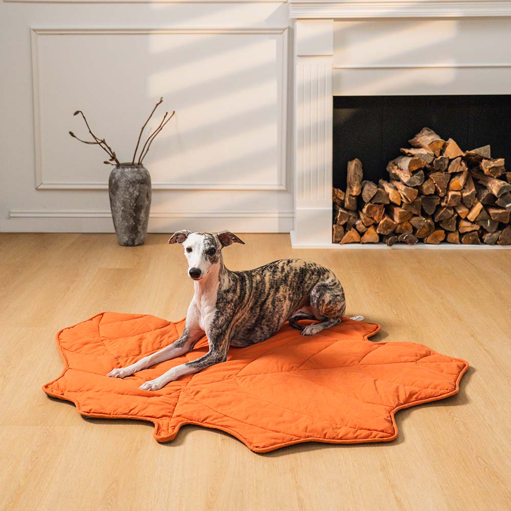 PetLeaf™ | Calming Orthopaedic Blanket