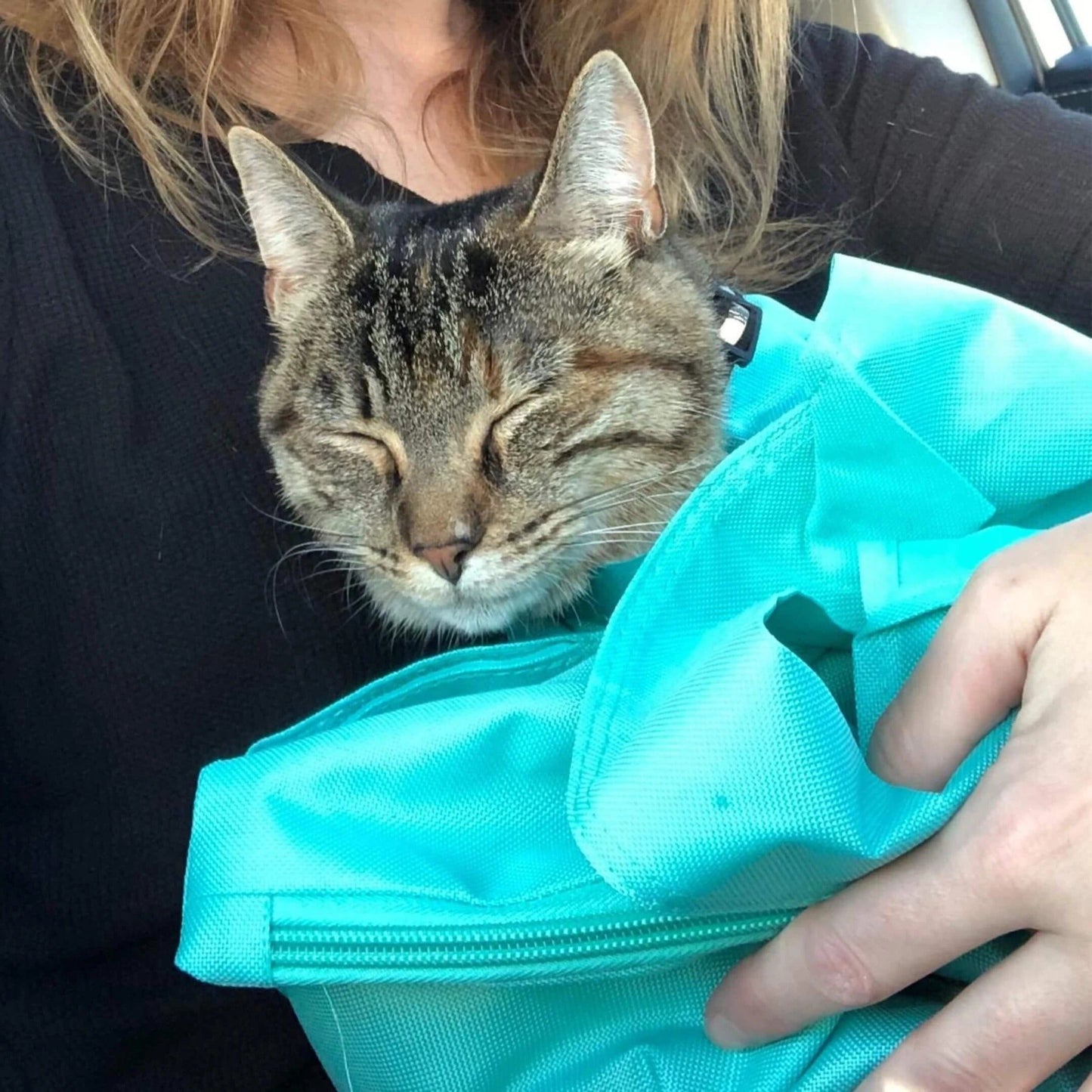 PetBag™ | Safe Carrier for Cats