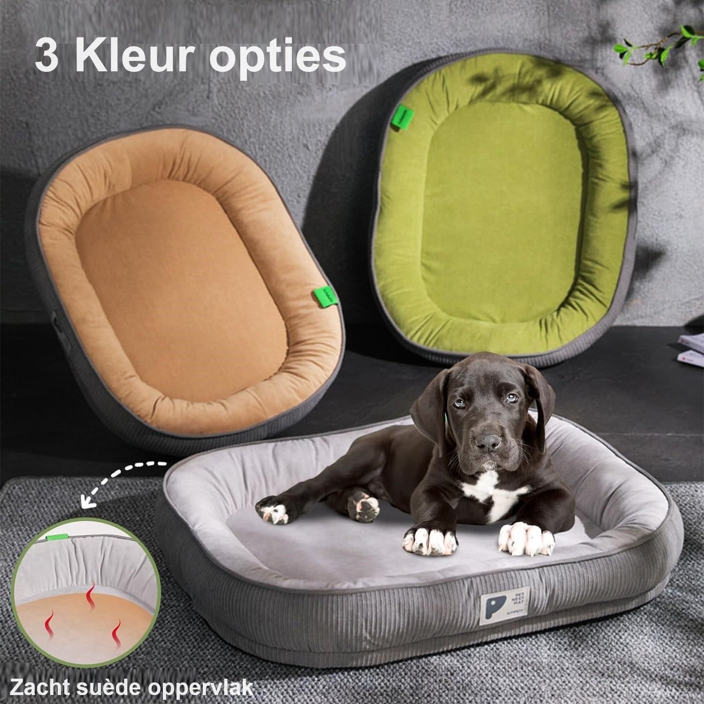DuraPaws™ | Plush Paws Paradise