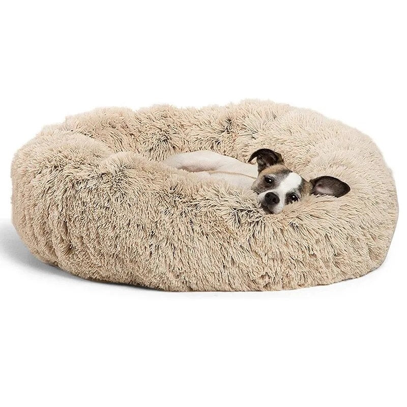 CozyPluche™ | Ultimate Comfort and Cuddle Soft