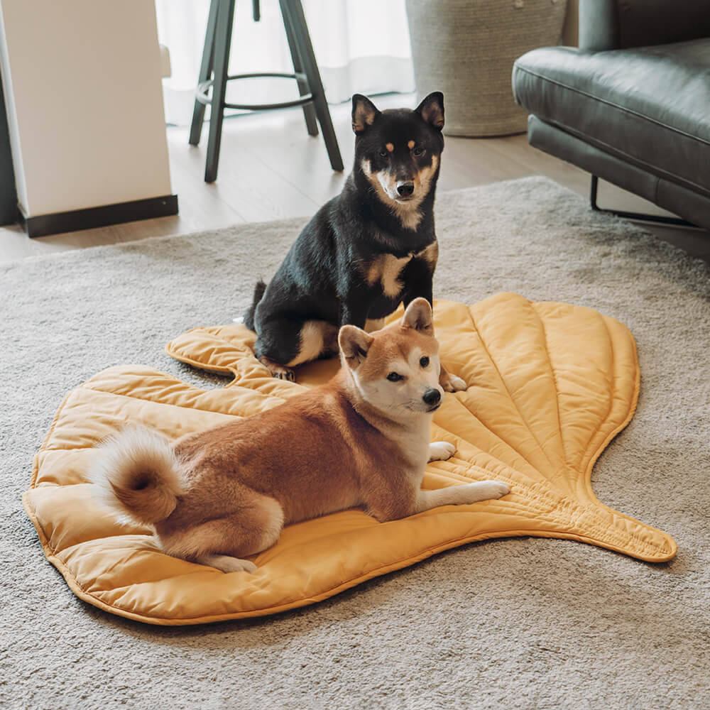 PetLeaf™ | Calming Orthopaedic Blanket