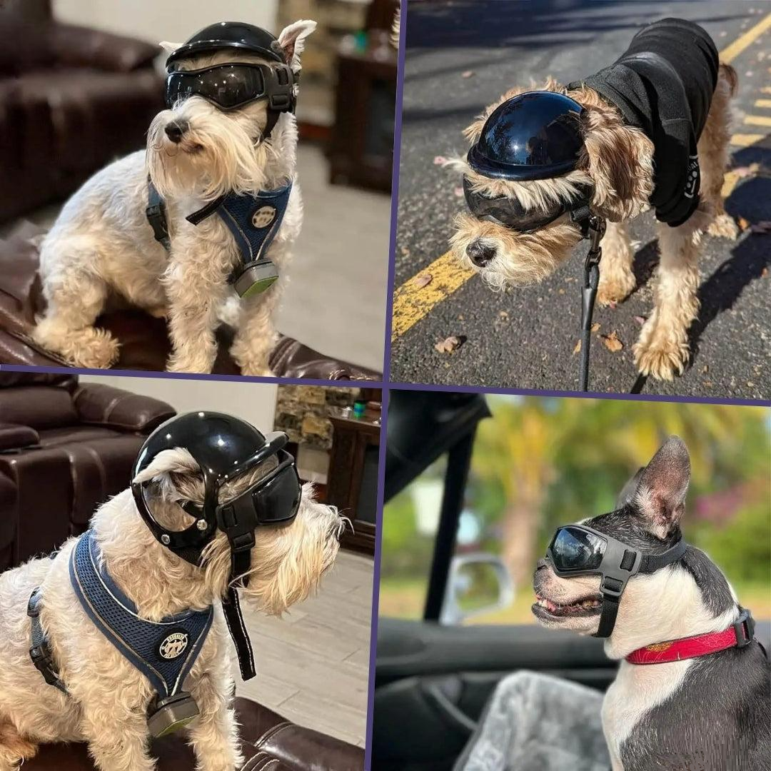 FurrBiker™ | Includes Free Protective Glasses (worth €19.95)