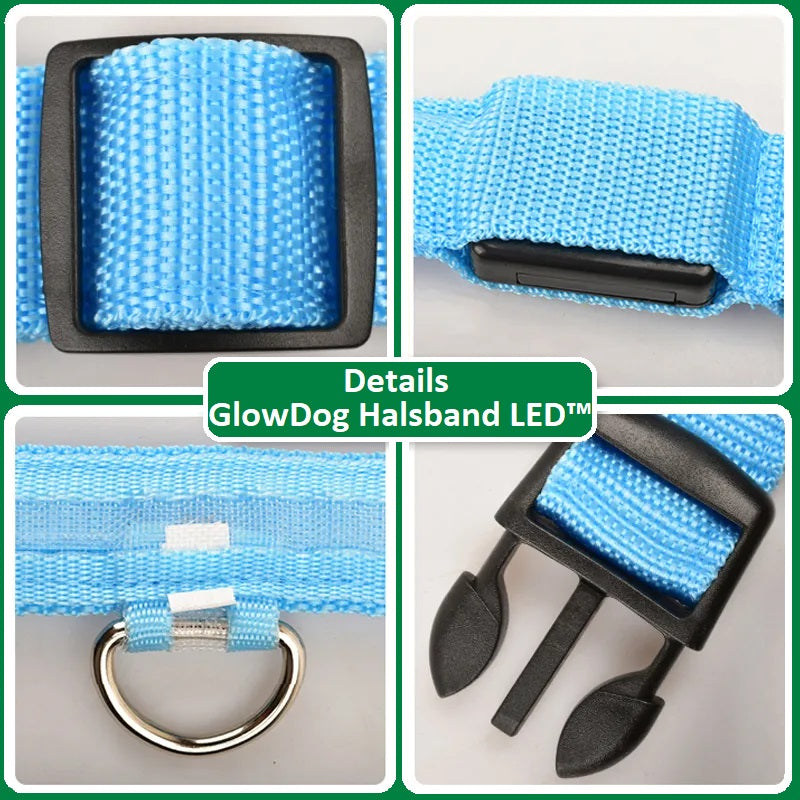 GlowDog™ | Reduce Anxiety About Collisions