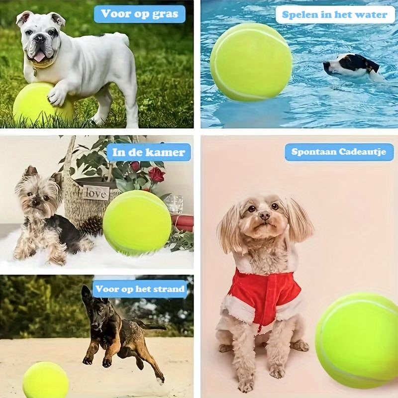 BarkBounce™ | Adventurous Play Fun
