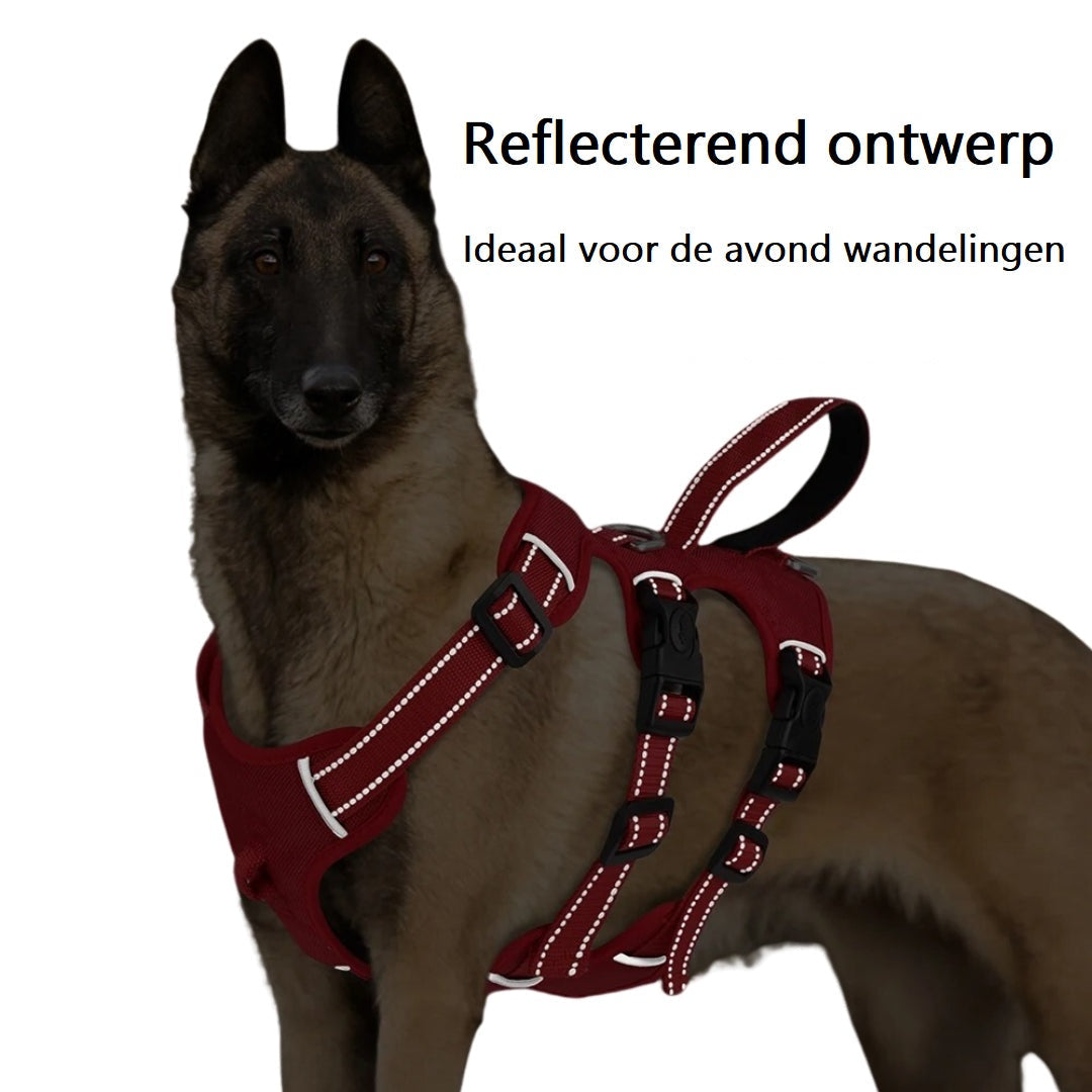 GripGuarder™ | Discover Comfort and Strength