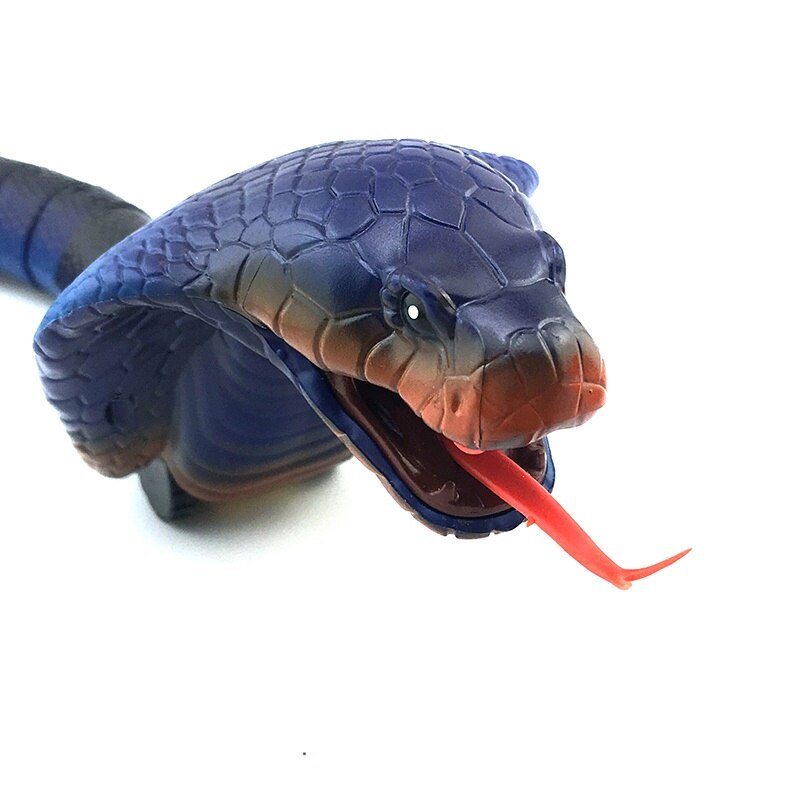 SnakePlay™ | Remote Control Toy