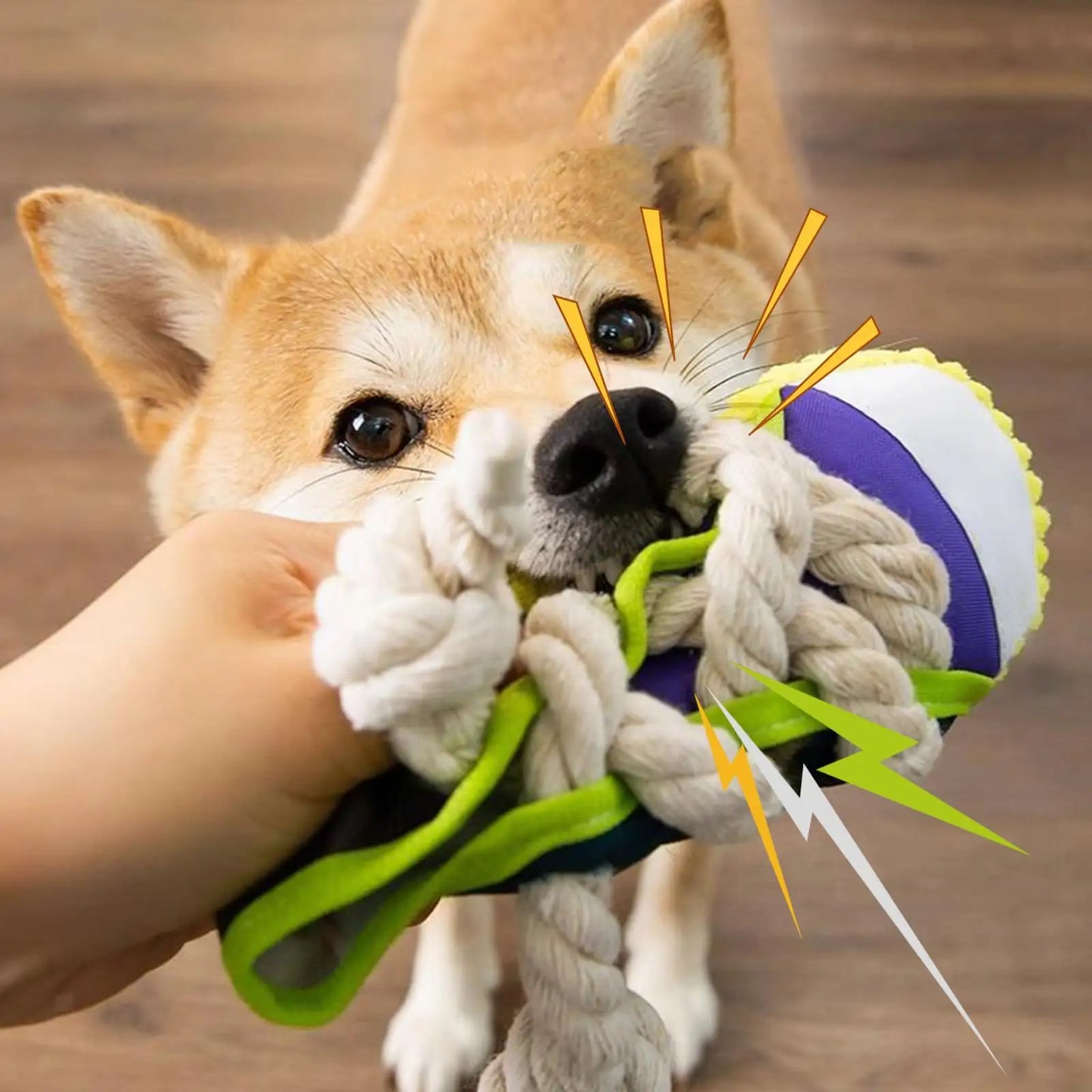 ShoeBite™ | Squeaky Shoe Toy
