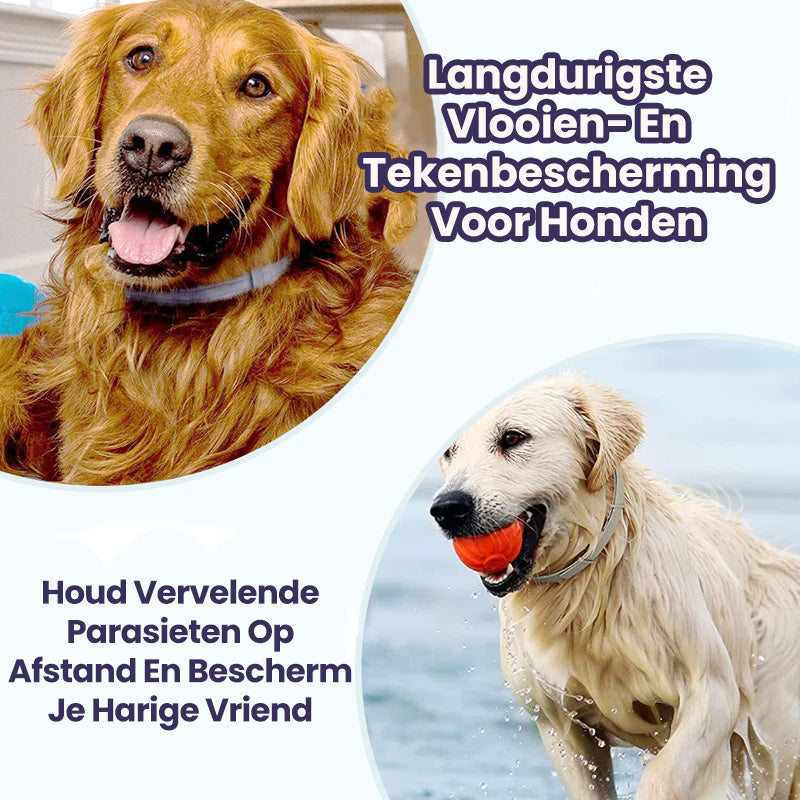 FurrSaver™ | Flea and Tick Collar