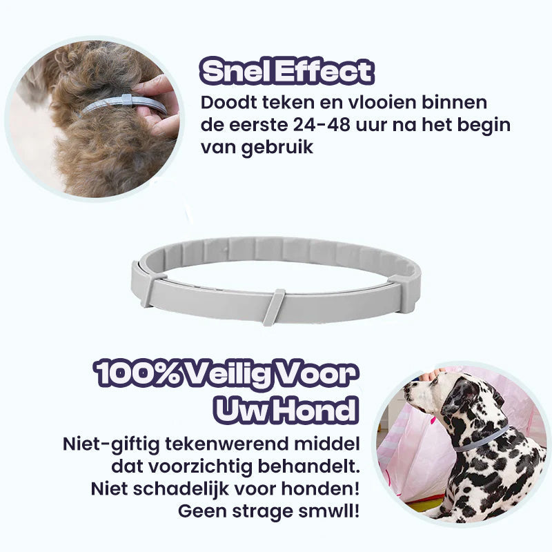 FurrSaver™ | Flea and Tick Collar