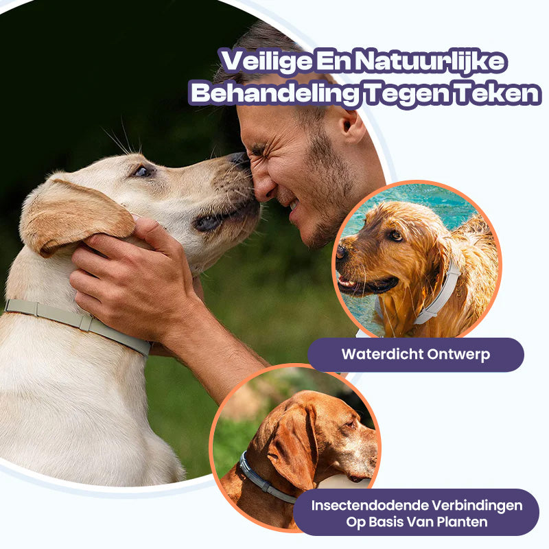 FurrSaver™ | Flea and Tick Collar