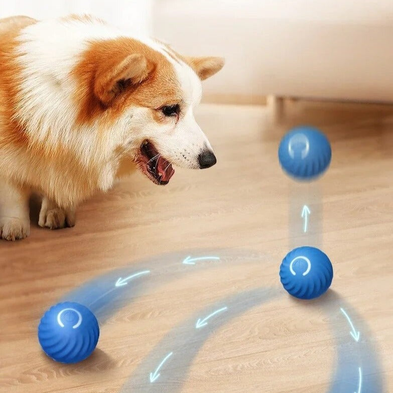 Furbounce™ | Prevent Boredom and Damage to Furniture
