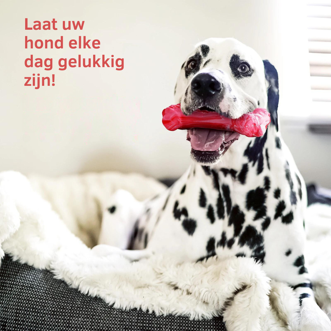 ChewBone™ | Meat-shaped Dog Toothbrush