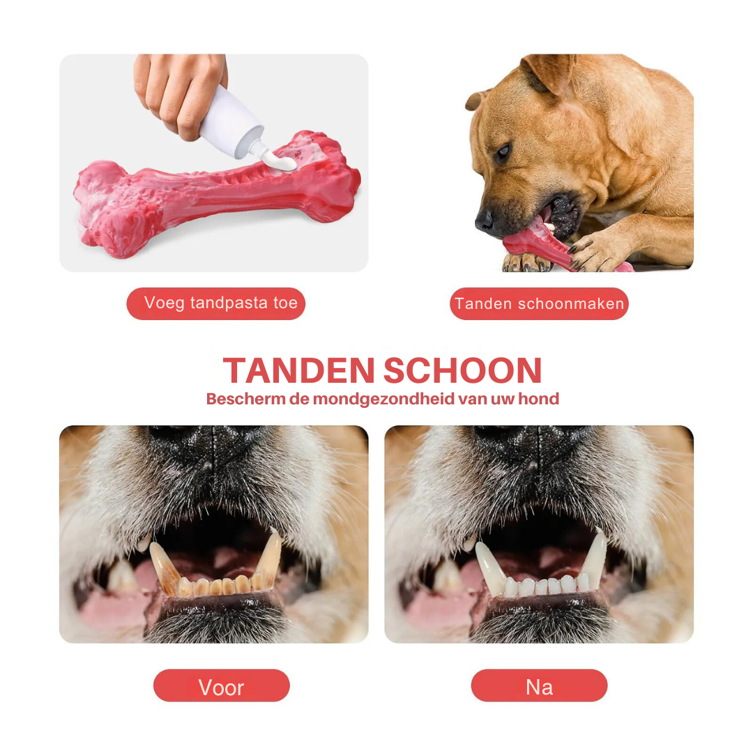 ChewBone™ | Meat-shaped Dog Toothbrush