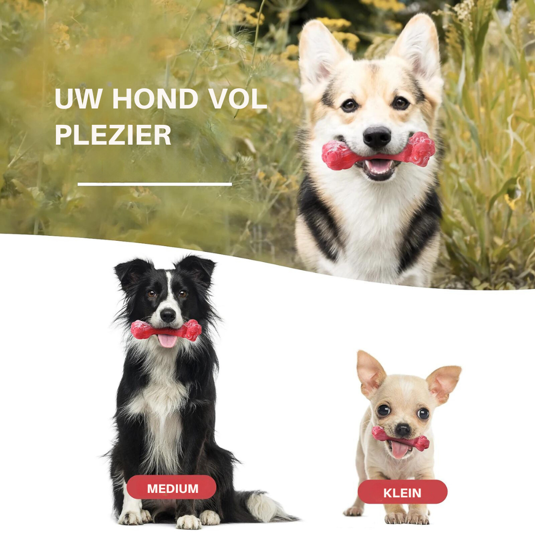 ChewBone™ | Meat-shaped Dog Toothbrush