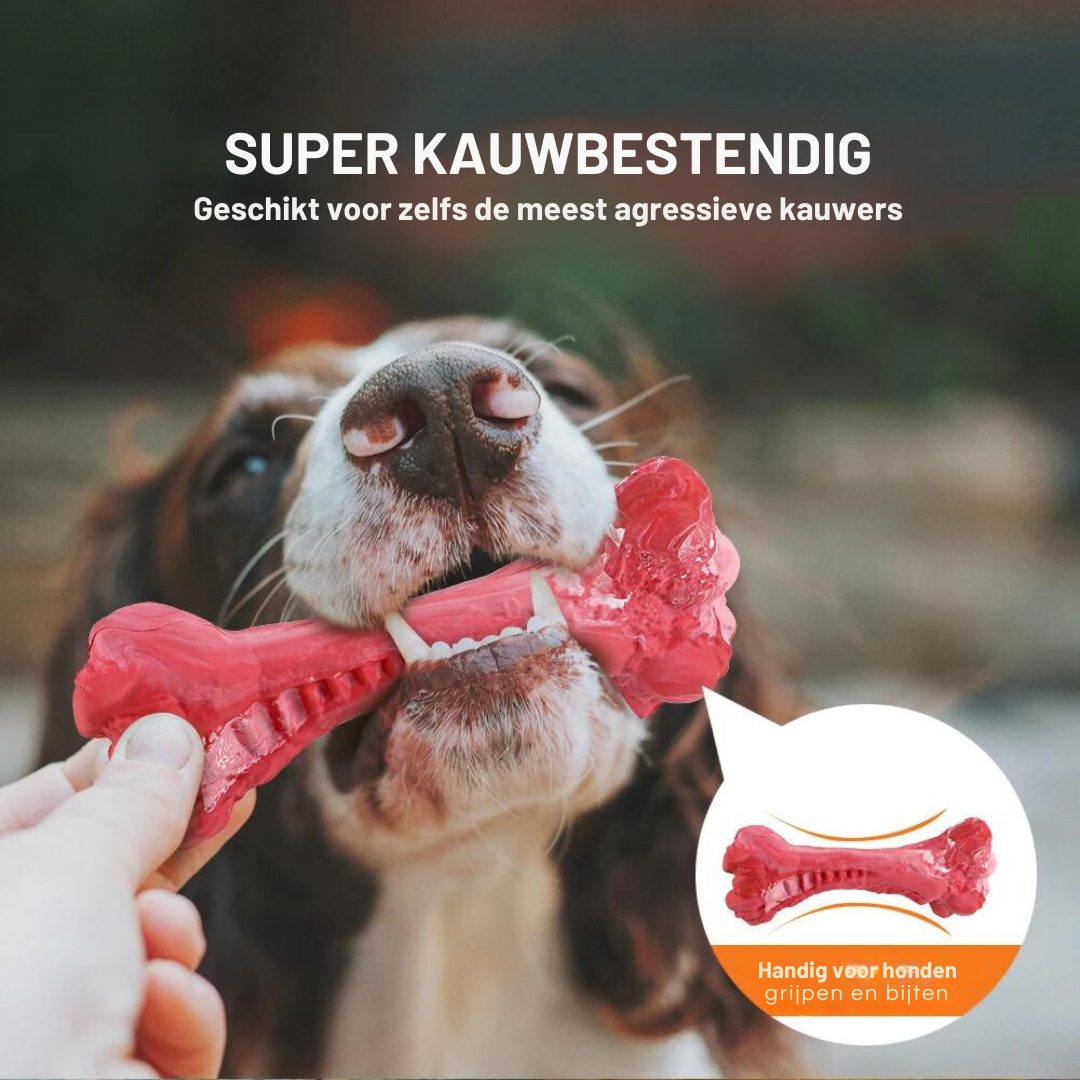 ChewBone™ | Meat-shaped Dog Toothbrush