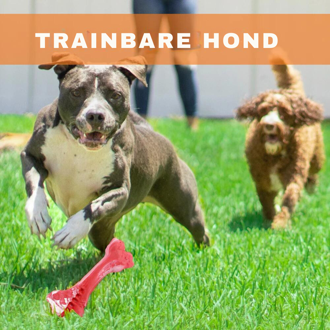 ChewBone™ | Meat-shaped Dog Toothbrush