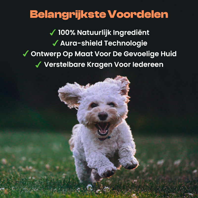 FurrSaver™ | Flea and Tick Collar