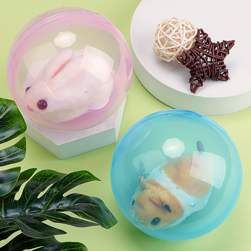 ZoomZing™ | Interactive Ball for Pets