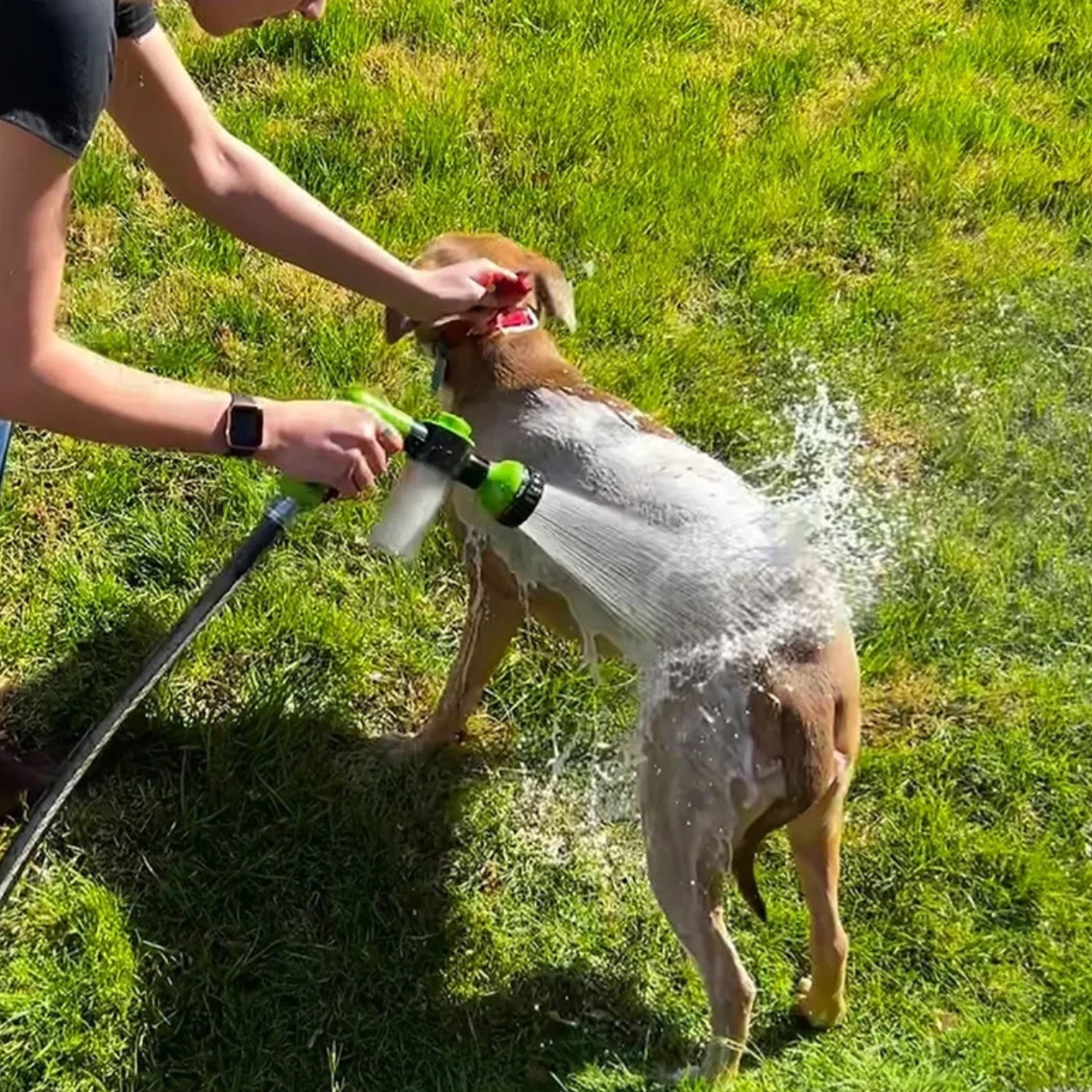 SoapyPaws™ | Ultimate Dog Spa Bruserhoved