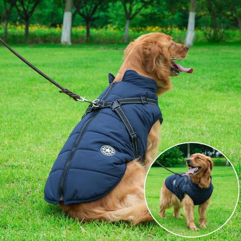 PawsDry™ | Keep Your Dog Warm and Dry