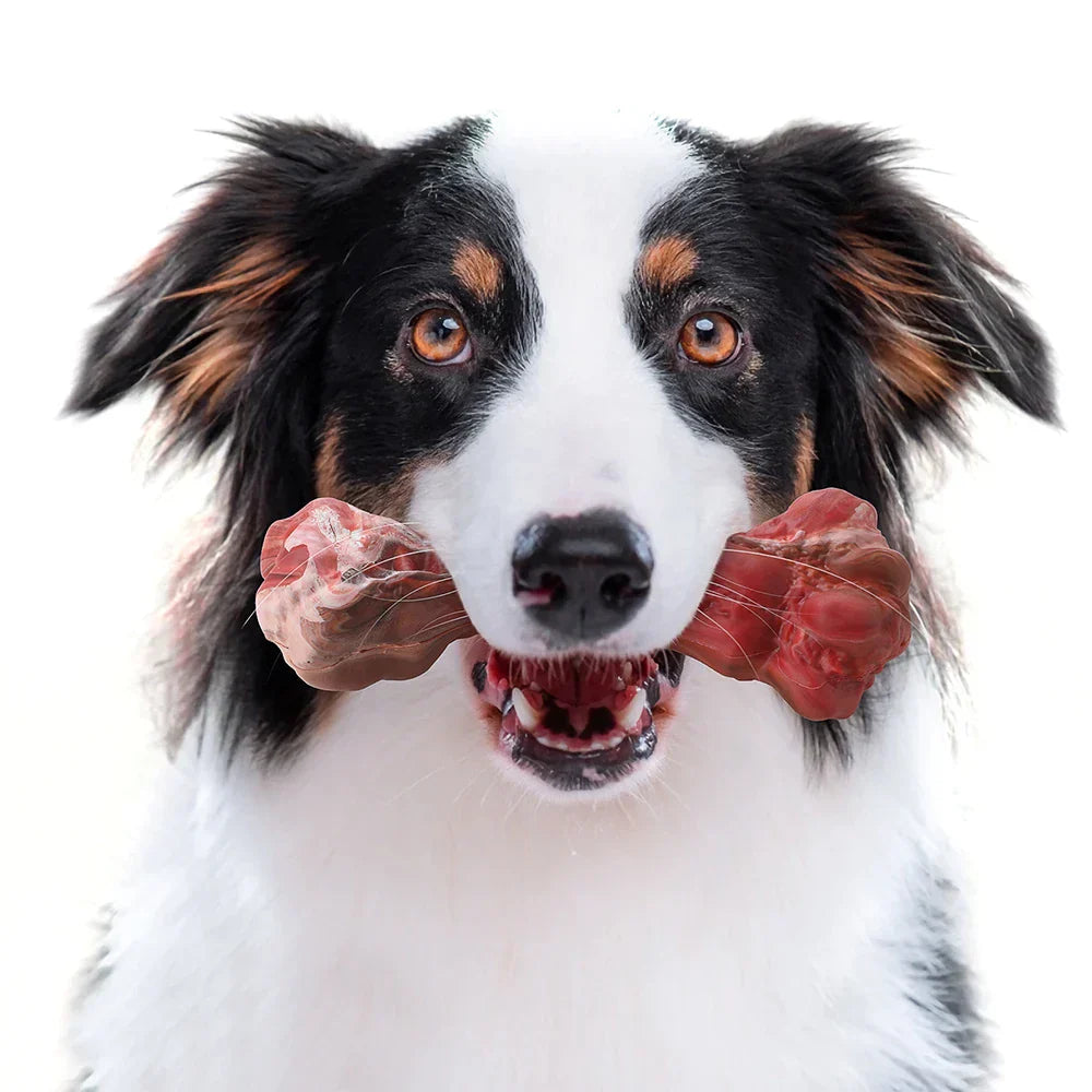 ChewBone™ | Meat-shaped Dog Toothbrush