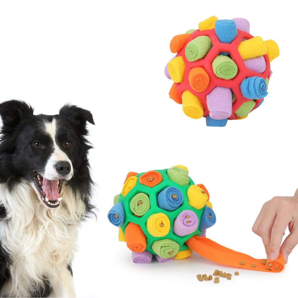 SnuffelBal™ | Interactive Puzzle Ball