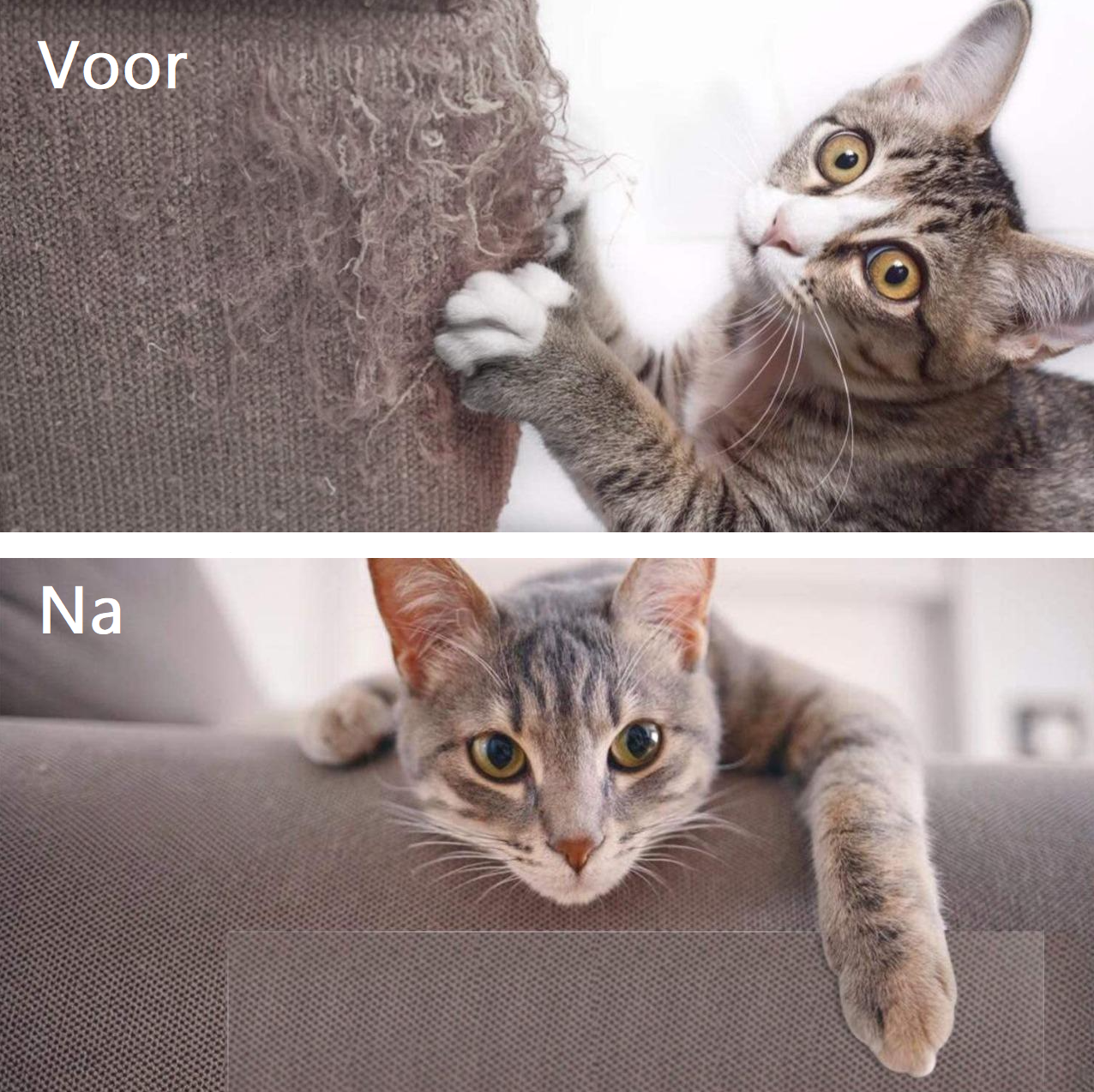 PurrCover™ | Protection Against Scratches and Chewing