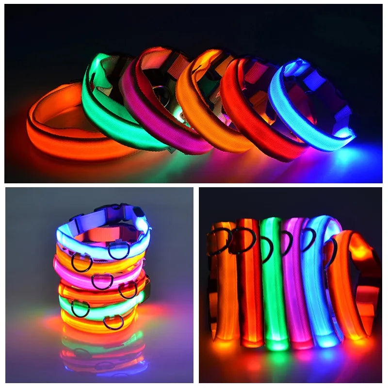 GlowDog™ | Reduce Anxiety About Collisions