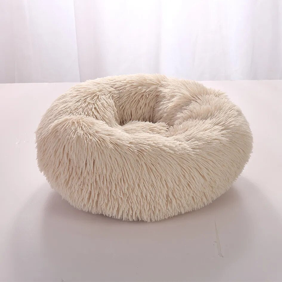CozyPluche™ | Ultimate Comfort and Cuddle Soft